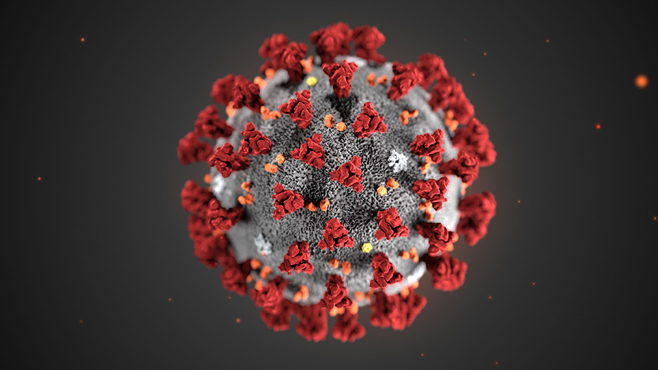 Coronavirus e Igiene Quotidiana